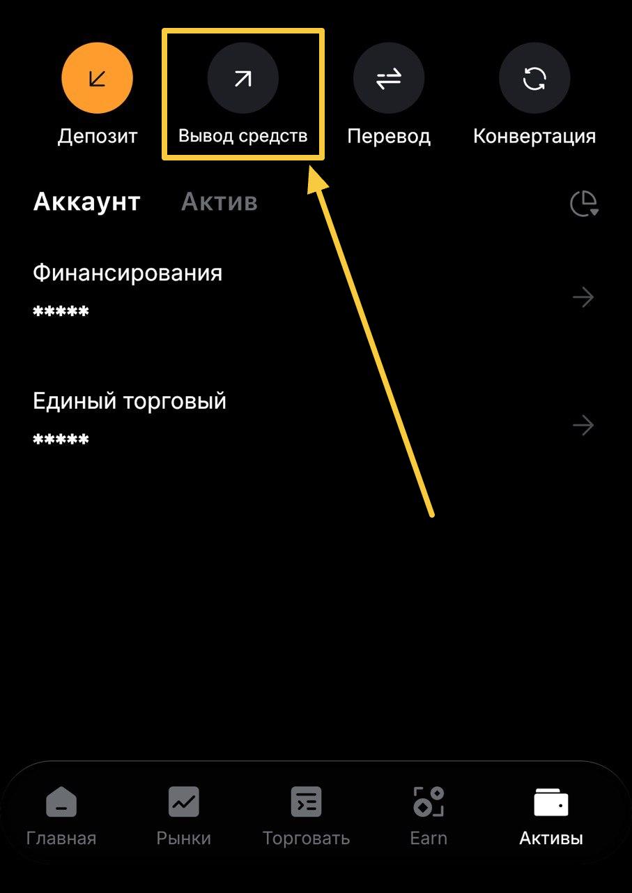 Вывод с биржи ByBit
