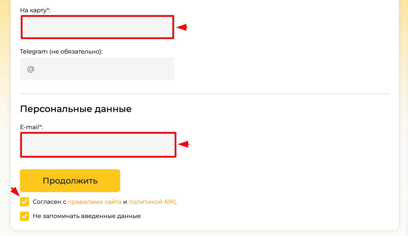 Поля для ввода карты, email и кнопка продолжения обмена